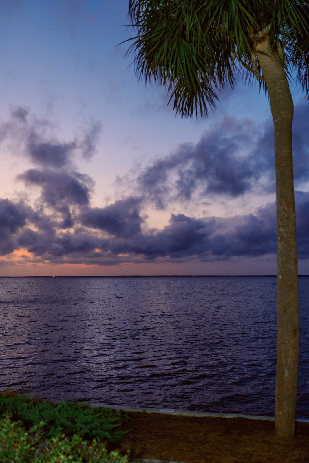 Borchelt wedding, Destin
