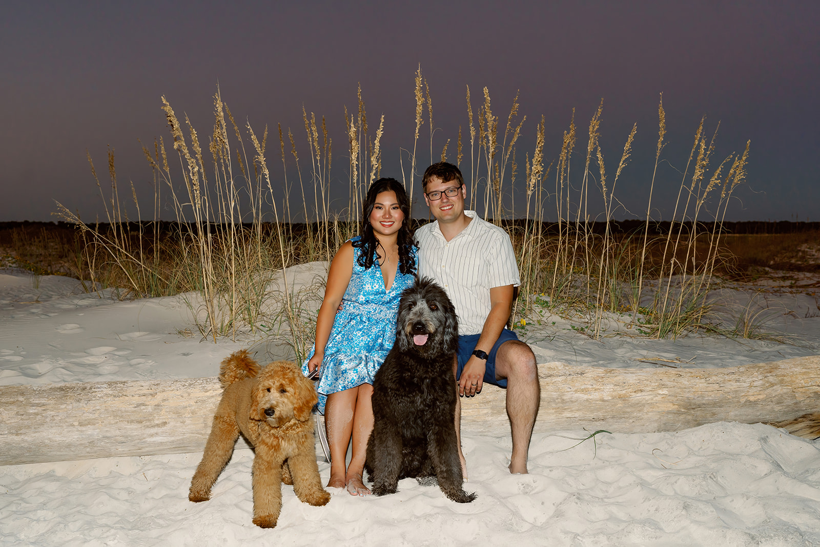 Comes family, Dauphin Island