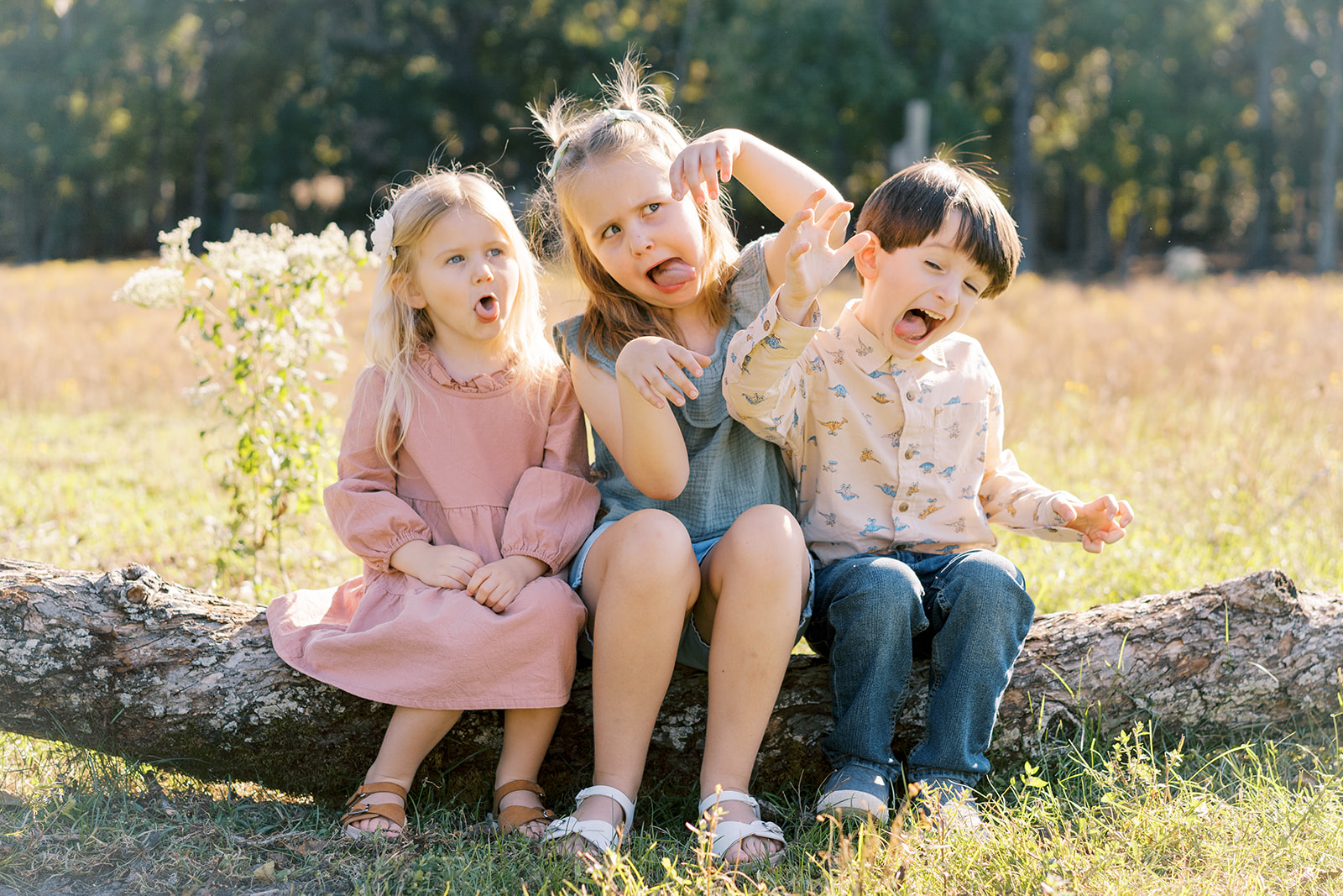 Fairbanks family, Mississippi Gulf Coast