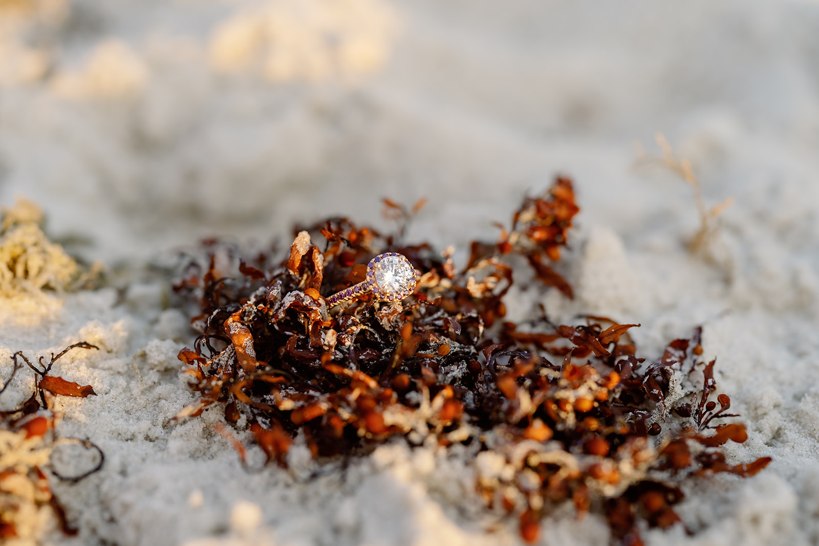 Giffen proposal, Dauphin Island