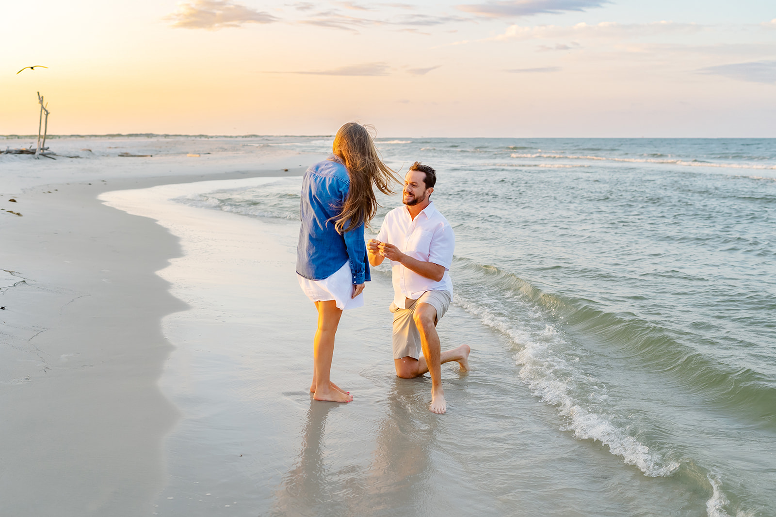 Giffen proposal, Dauphin Island