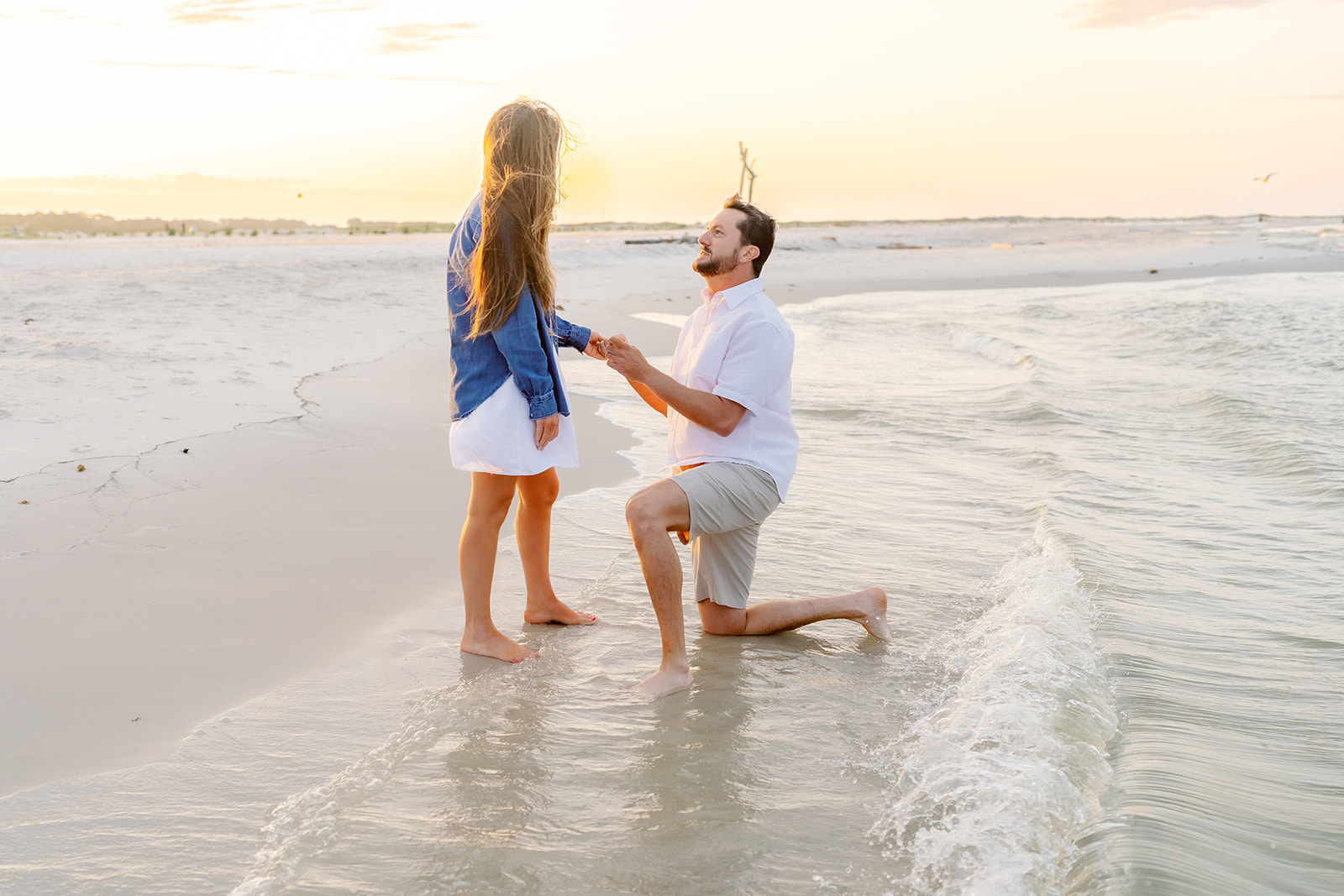 Giffen proposal, Dauphin Island