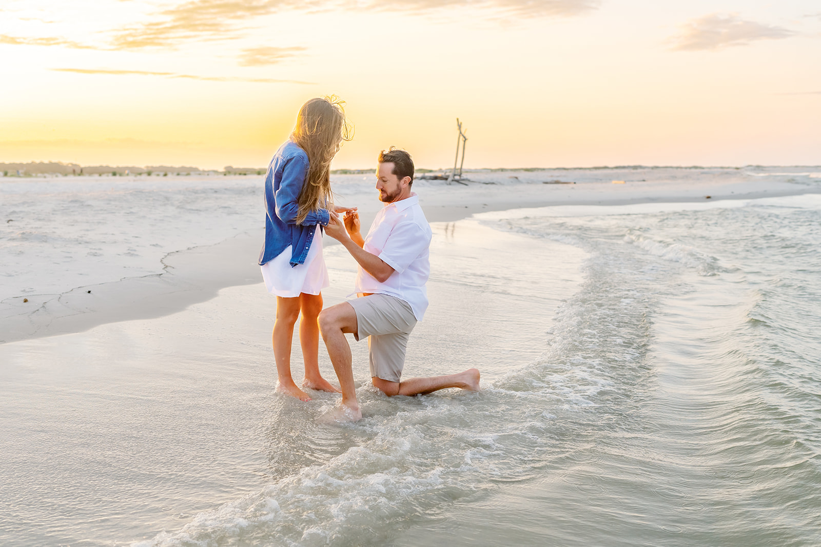 Giffen proposal, Dauphin Island