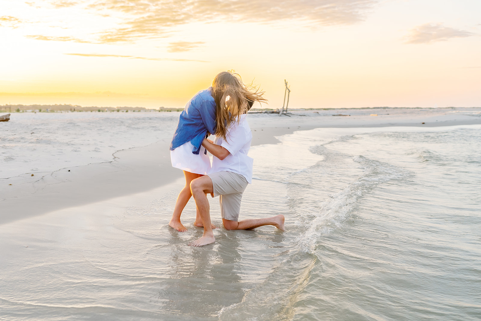 Giffen proposal, Dauphin Island