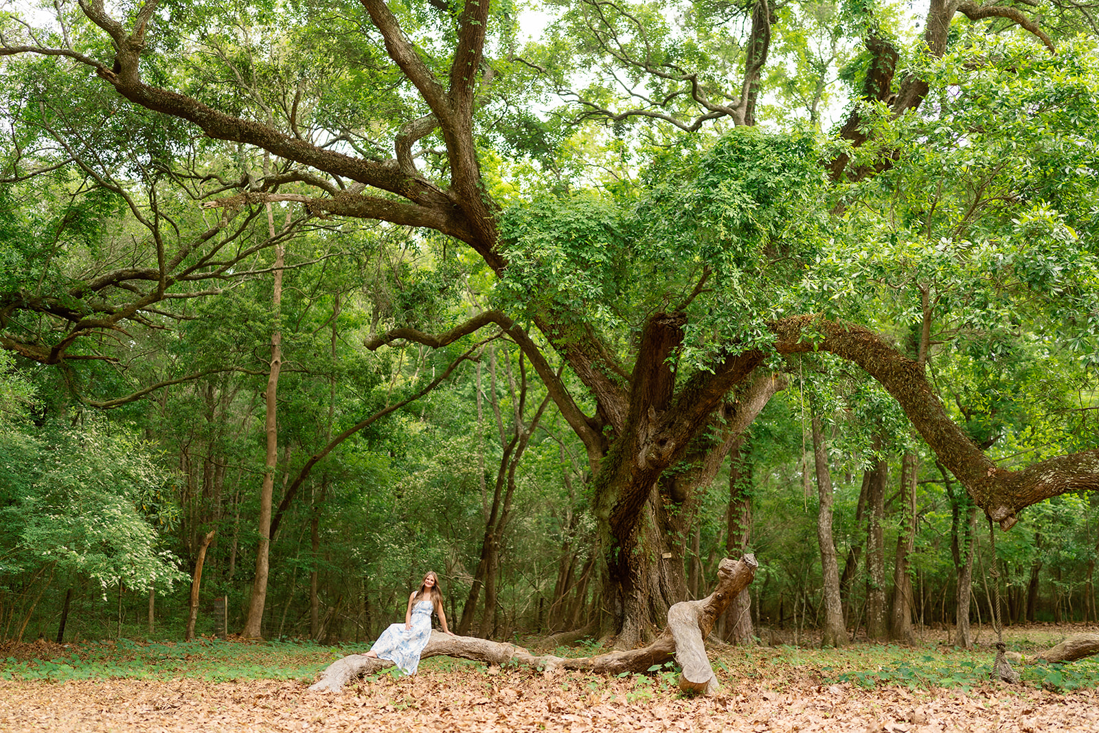 Hudson, senior portraits, Pensacola