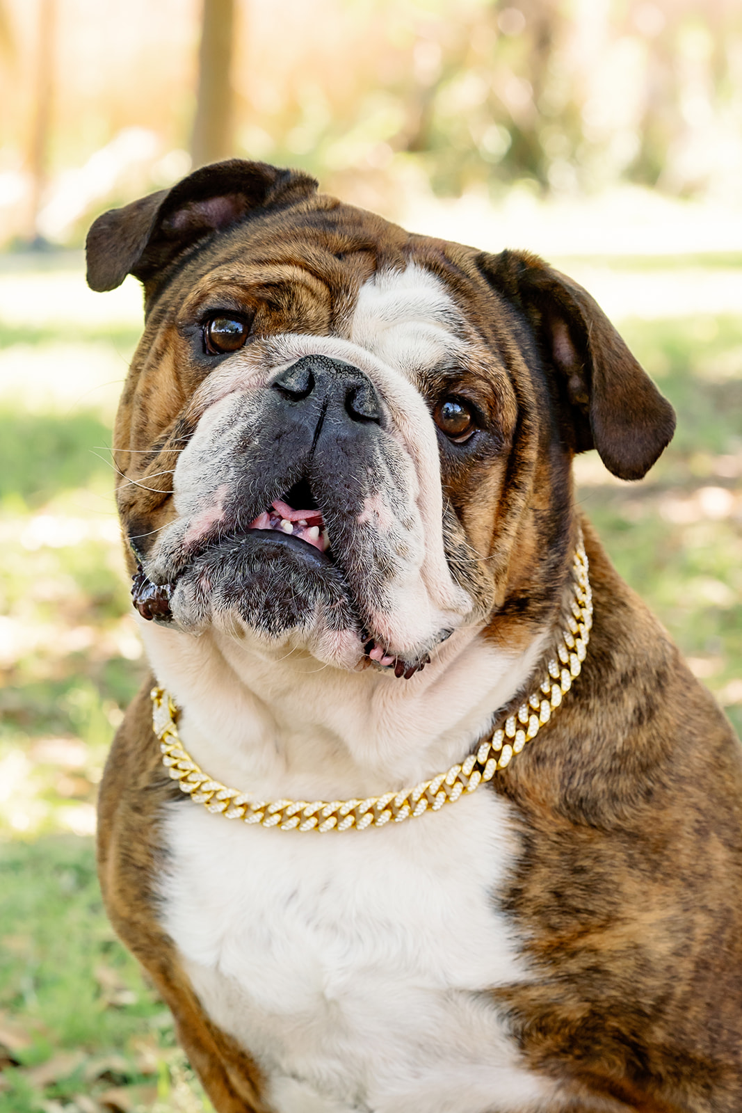 Hudson, senior portraits, Pensacola