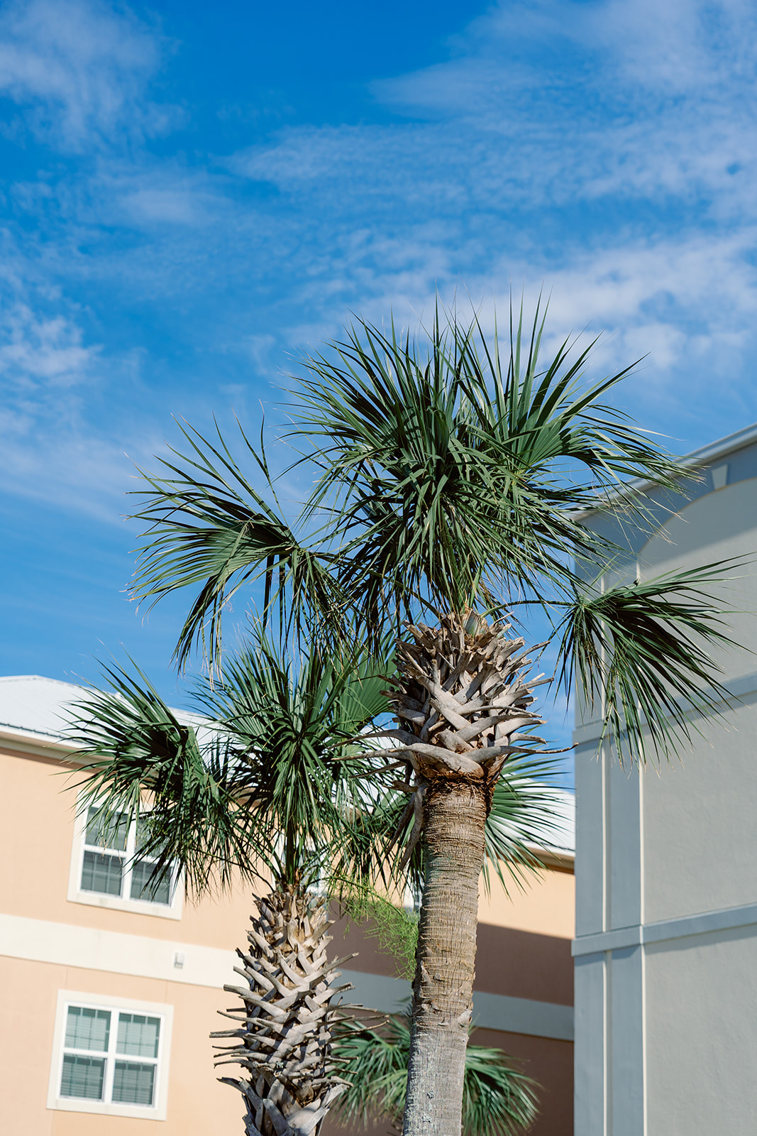 McGruder wedding, Dauphin Island