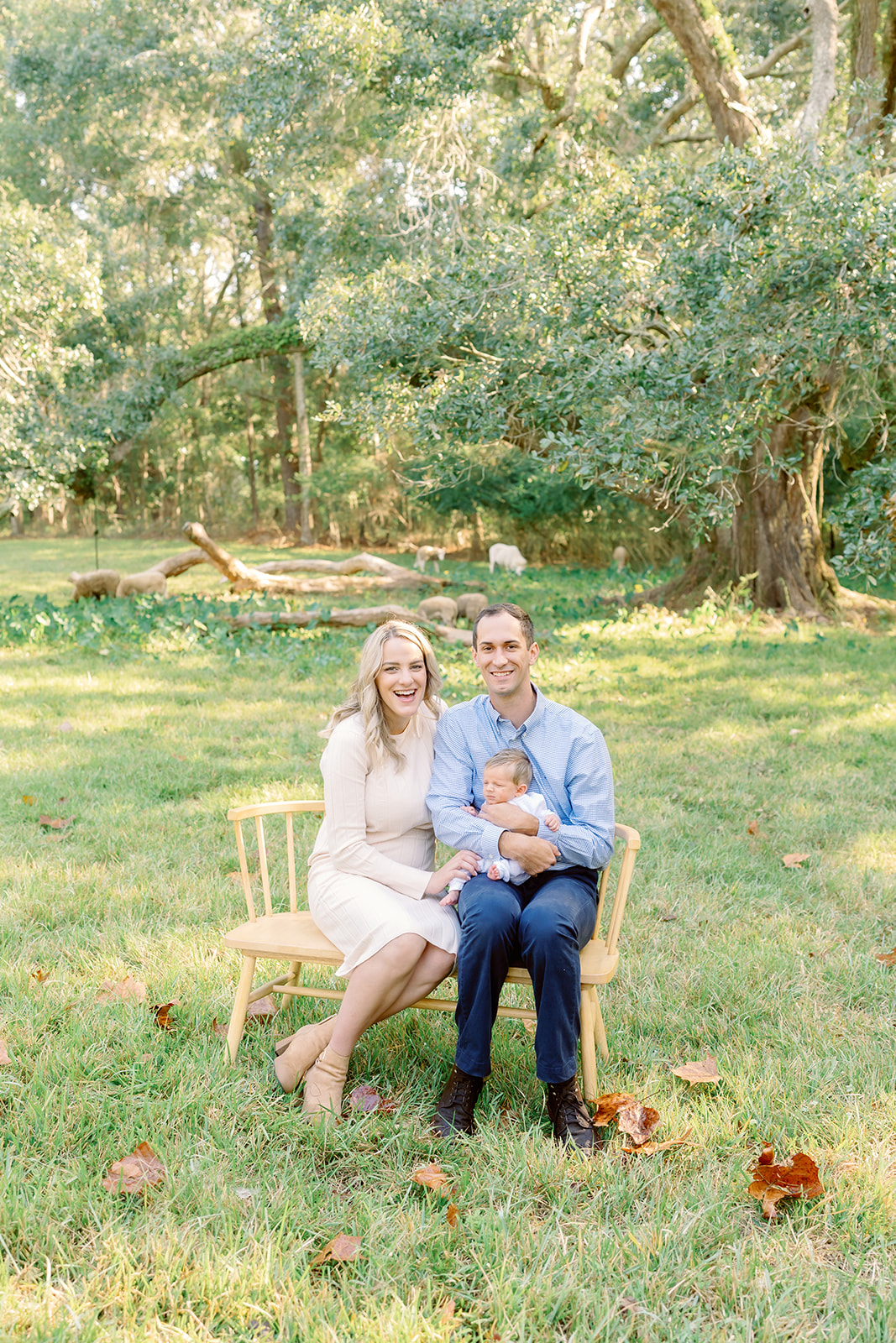 Pizzari lifestyle newborn session, Gulf Coast