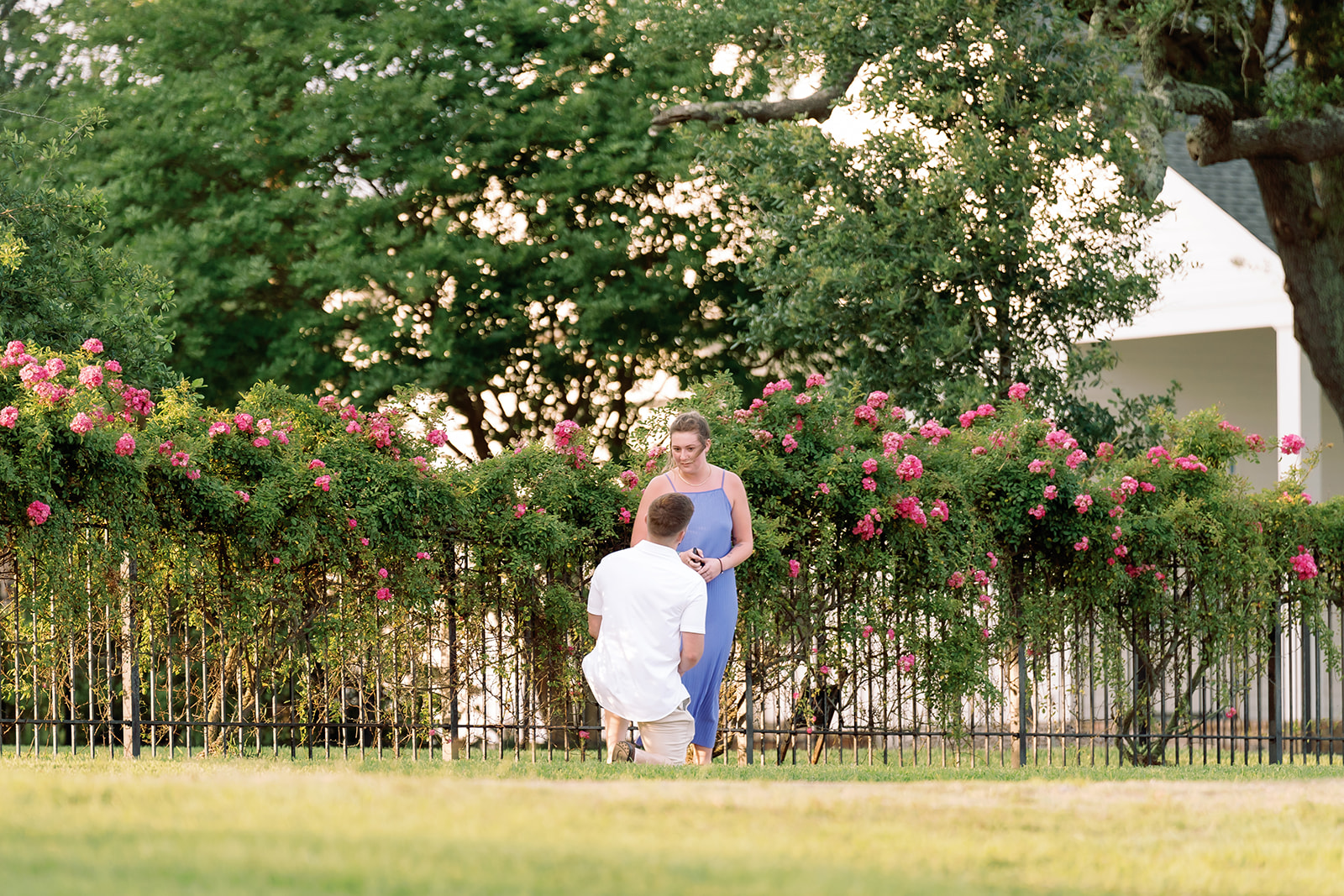 Strange proposal, Mississippi Gulf Coast