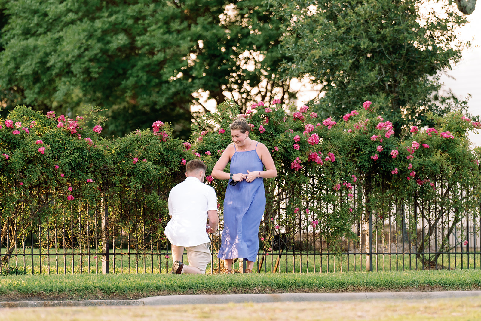 Strange proposal, Mississippi Gulf Coast