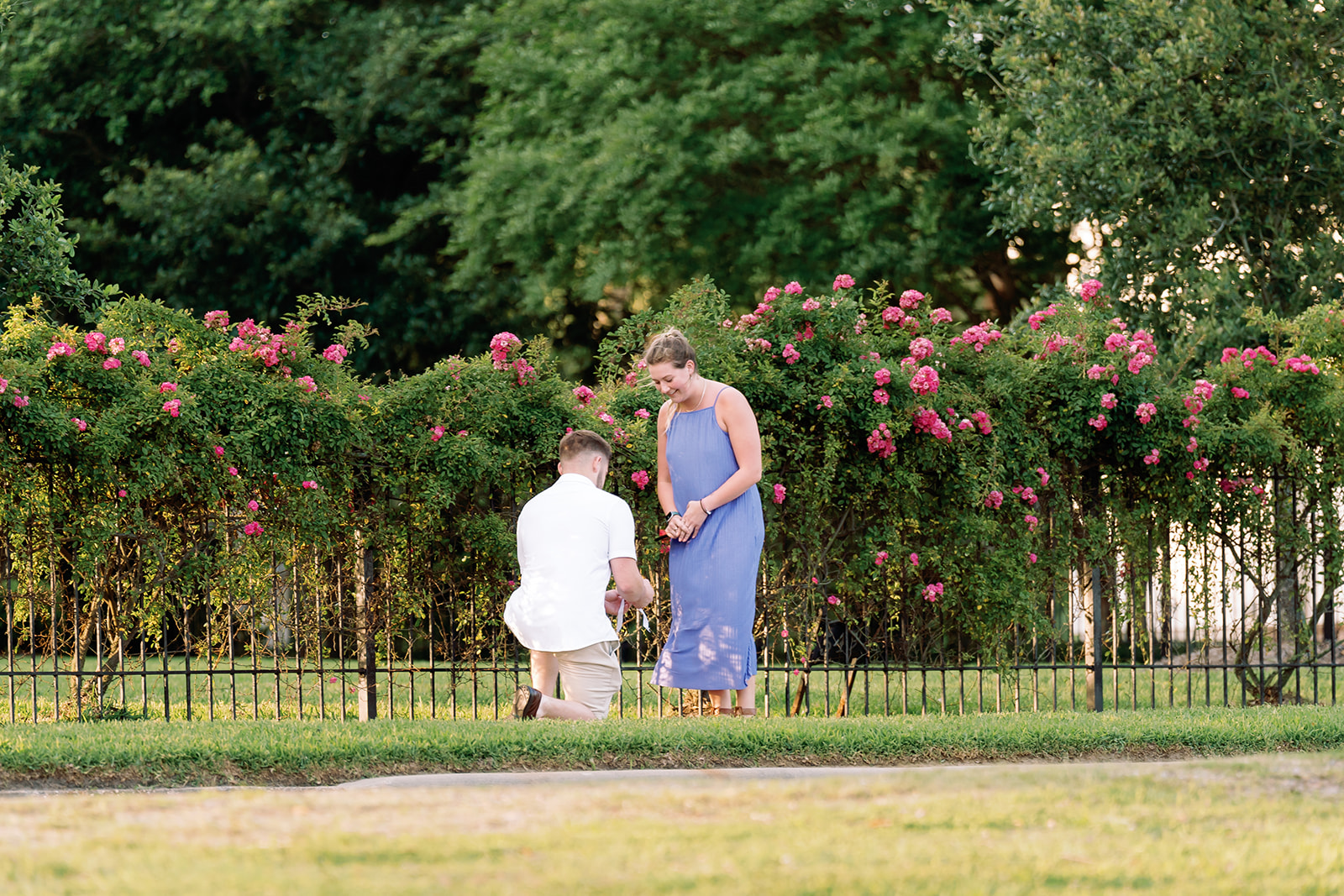 Strange proposal, Mississippi Gulf Coast